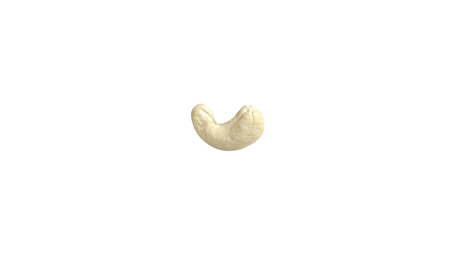 cashew_0